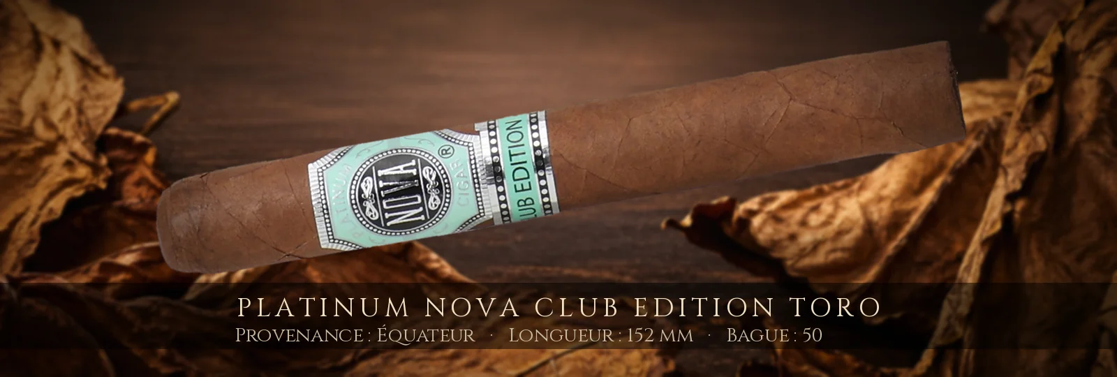 Platinum Nova Club Edition Toro — Platinum Nova — Équateur