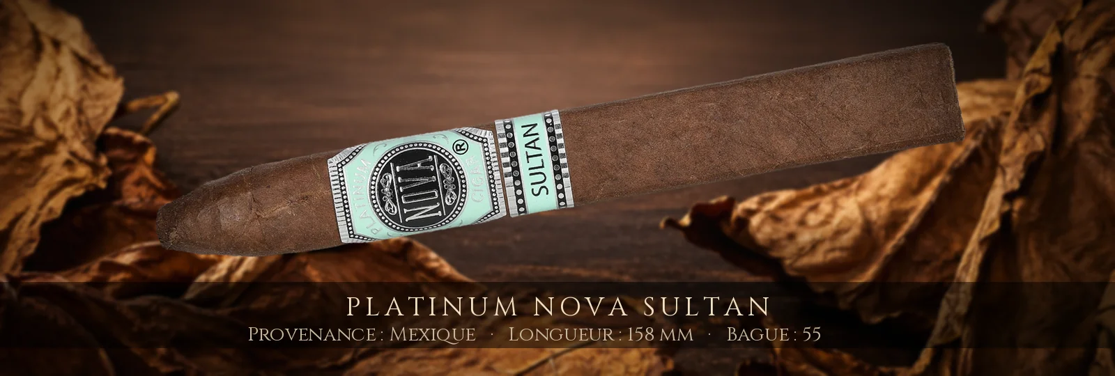 Platinum Nova Sultan — Platinum Nova — Mexique
