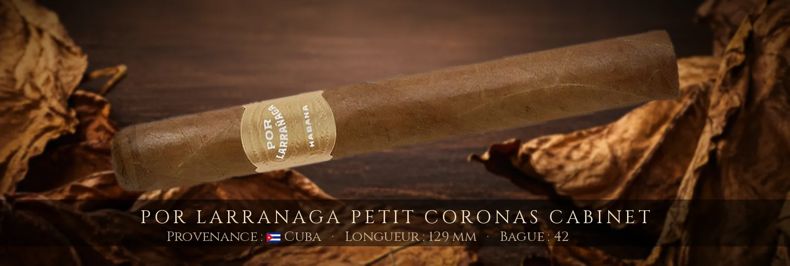 Por Larranaga Petit Coronas Cabinet