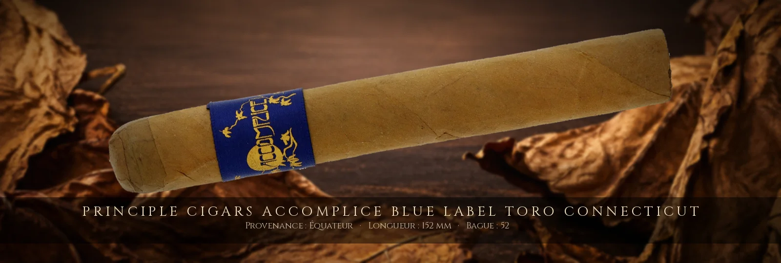 Principle Cigars Accomplice Blue Label Toro Connecticut — Principle Cigars — Équateur