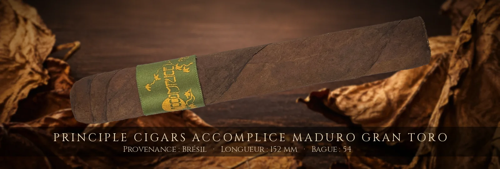 Principle Cigars Accomplice Maduro Gran Toro — Principle Cigars — Brésil