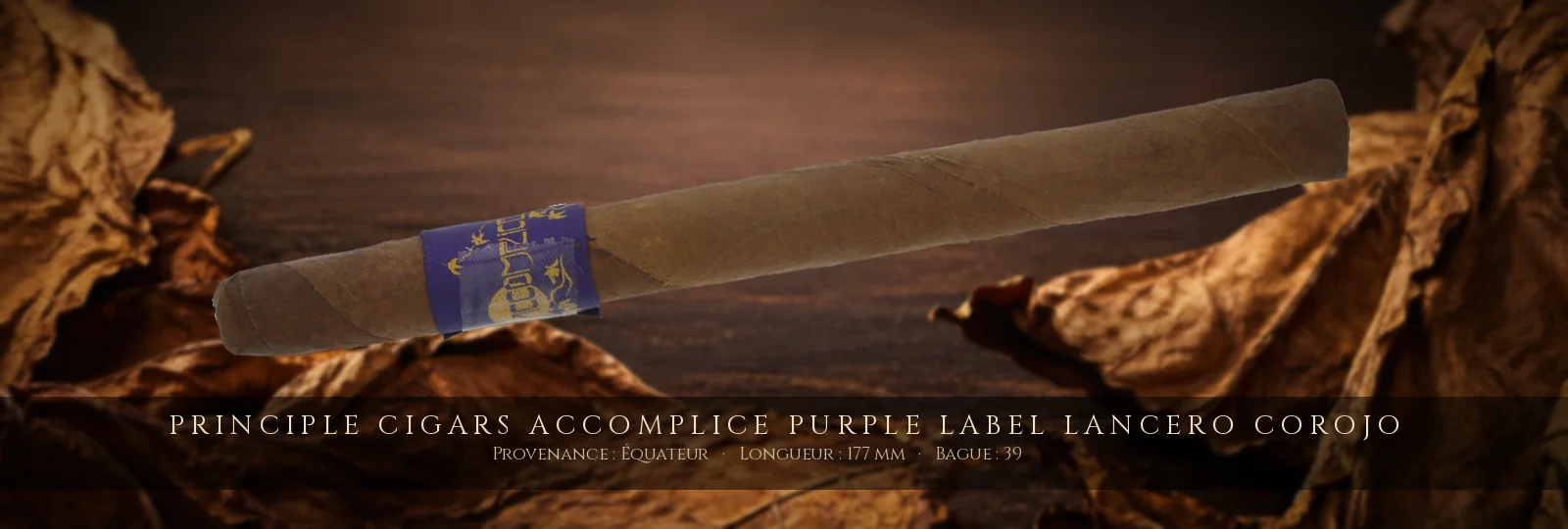 Principle Cigars Accomplice Purple Label Lancero Corojo — Principle Cigars — Équateur