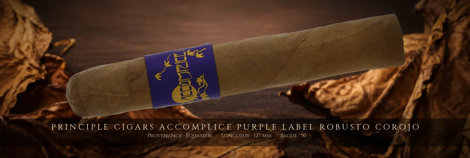 Principle Cigars Accomplice Purple Label Robusto Corojo — Principle Cigars — Équateur