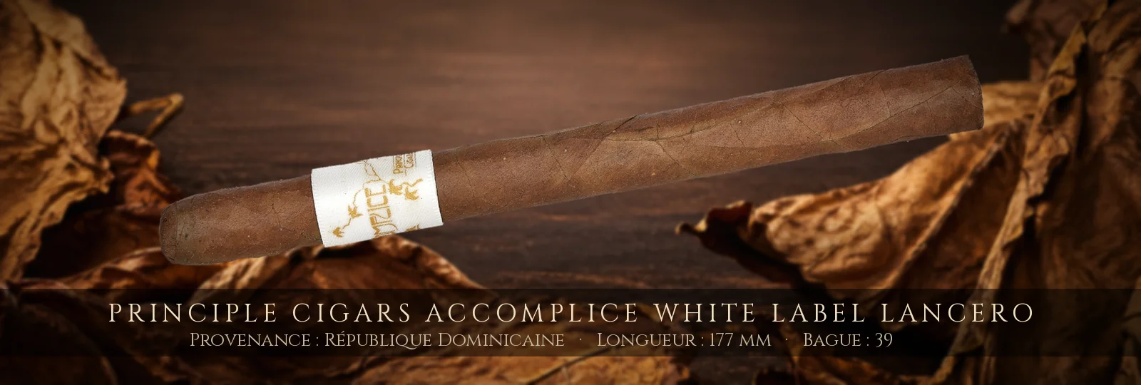 Principle Cigars Accomplice White Label Lancero — Principle Cigars — République Dominicaine