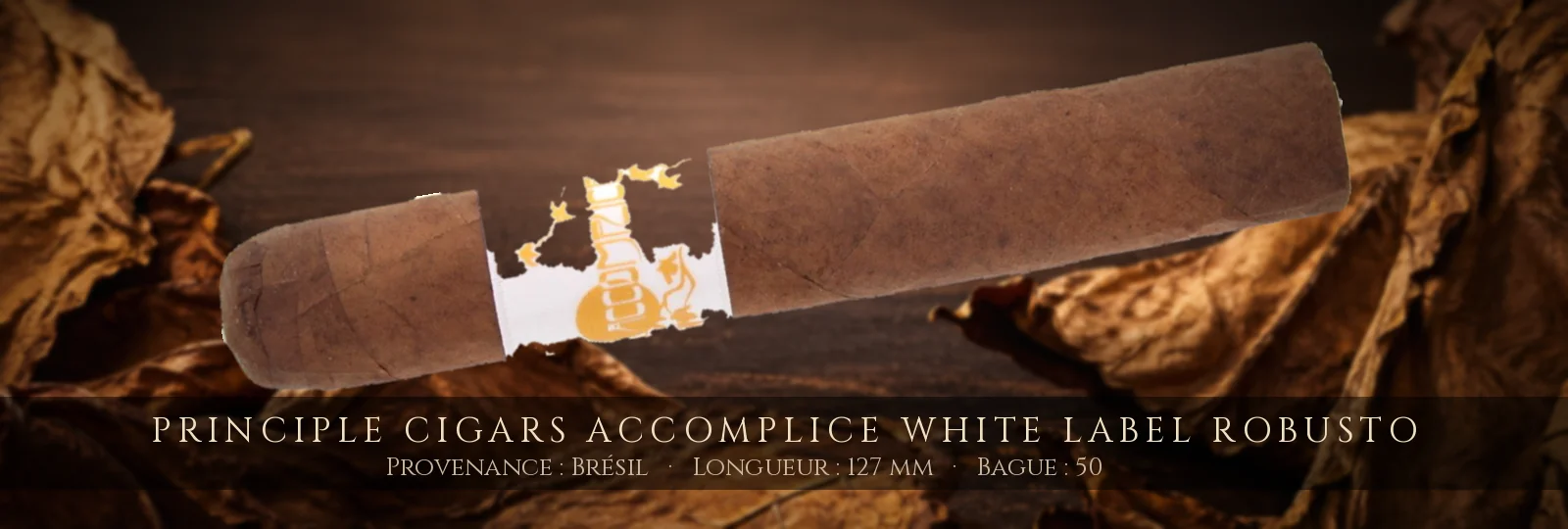 Principle Cigars Accomplice White Label Robusto