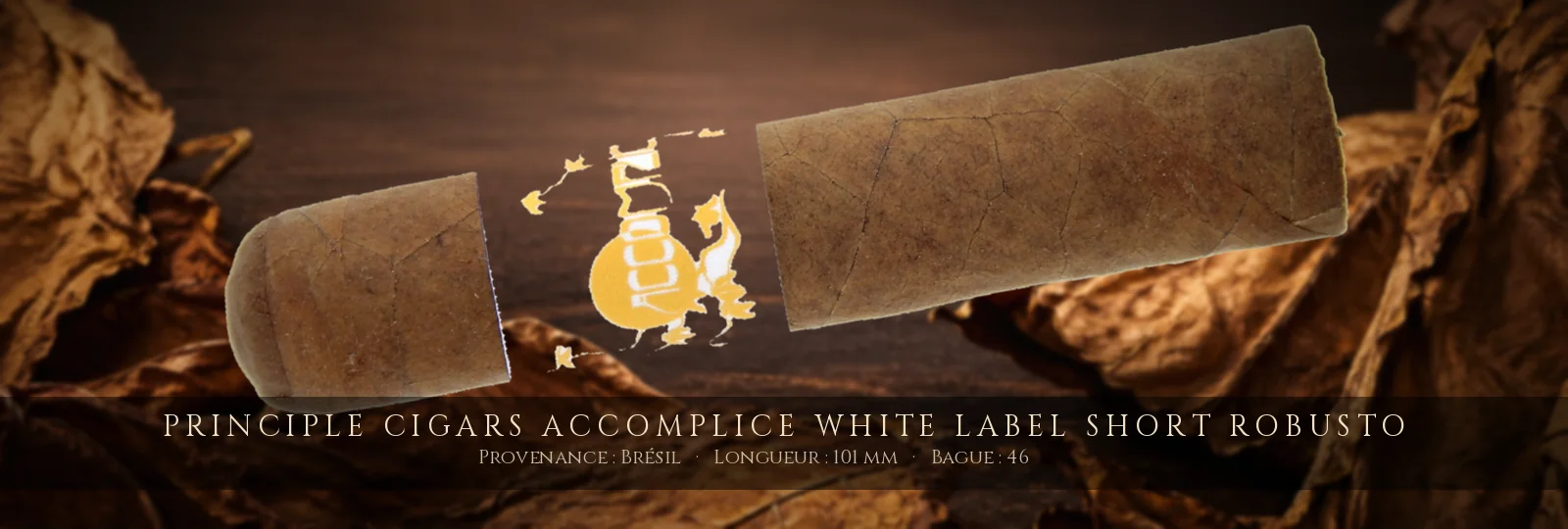Principle Cigars Accomplice White Label Short Robusto — Principle Cigars — Brésil