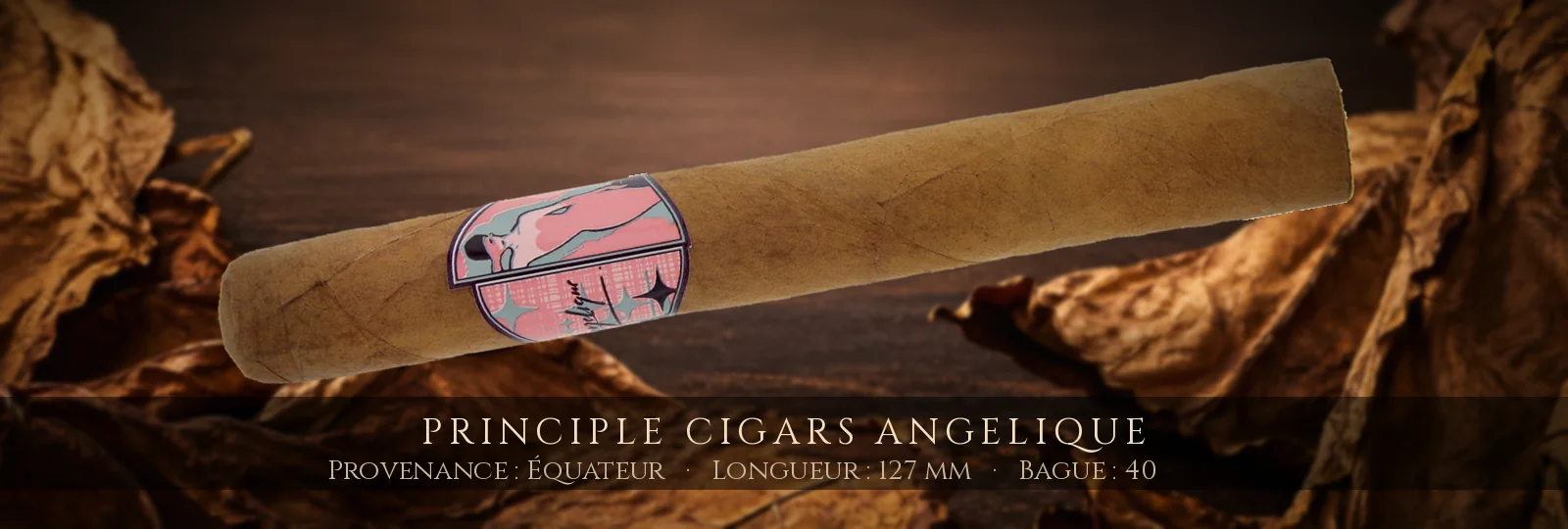 Principle Cigars Angelique — Principle Cigars — Équateur