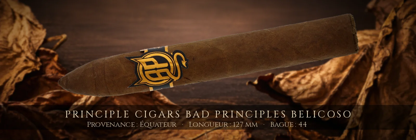 Principle Cigars Bad Principles Belicoso — Principle Cigars — Équateur