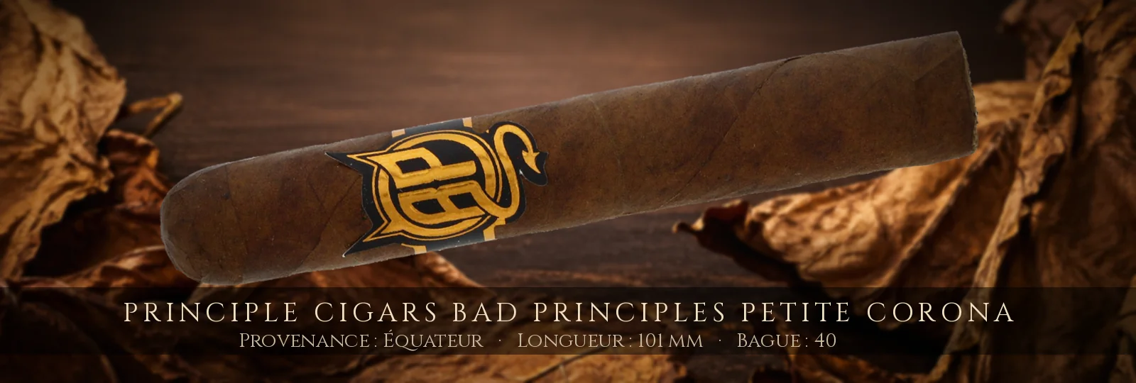 Principle Cigars Bad Principles Petite Corona — Principle Cigars — Équateur