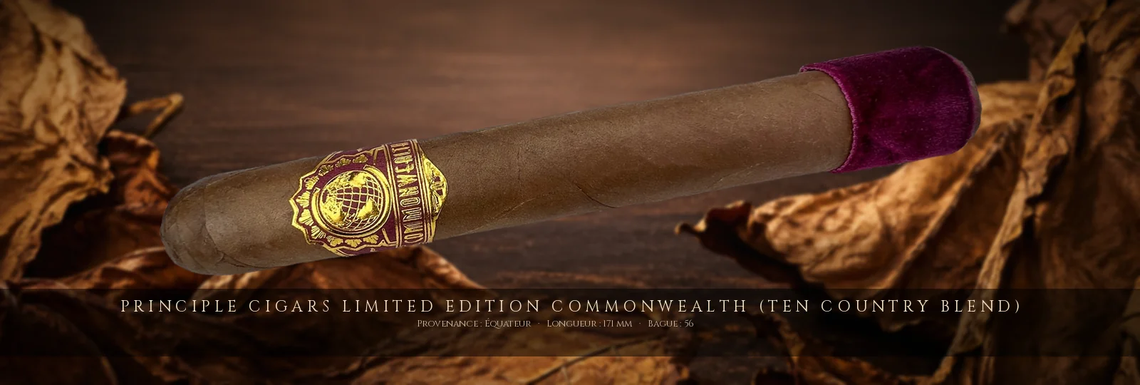Principle Cigars Limited Edition Commonwealth (Ten Country Blend) — Principle Cigars — Équateur