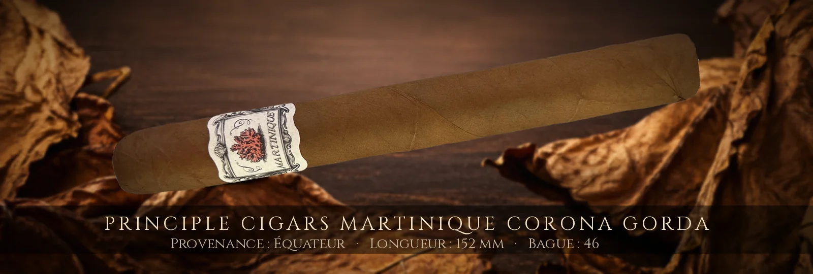 Principle Cigars Martinique Corona Gorda — Principle Cigars — Équateur