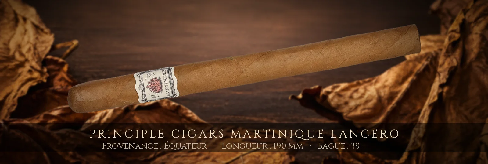 Principle Cigars Martinique Lancero — Principle Cigars — Équateur