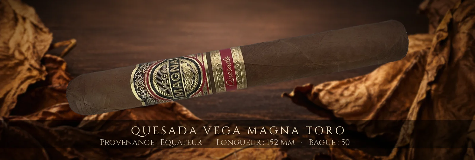 Quesada Vega Magna Toro — Quesada — Équateur