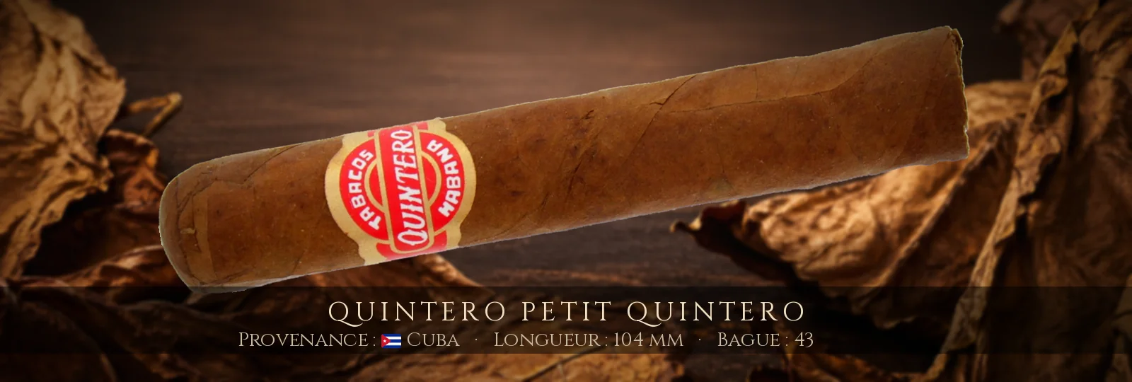 Quintero Petit Quintero