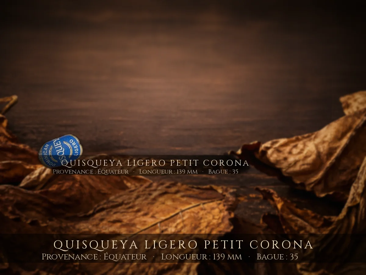 Quisqueya Ligero Petit Corona — Quisqueya — Équateur