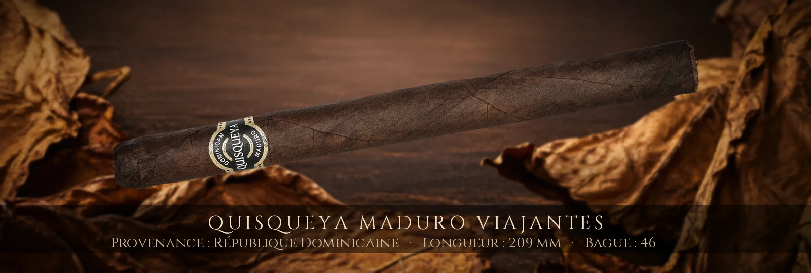 Quisqueya Maduro Viajantes — Quisqueya — République Dominicaine