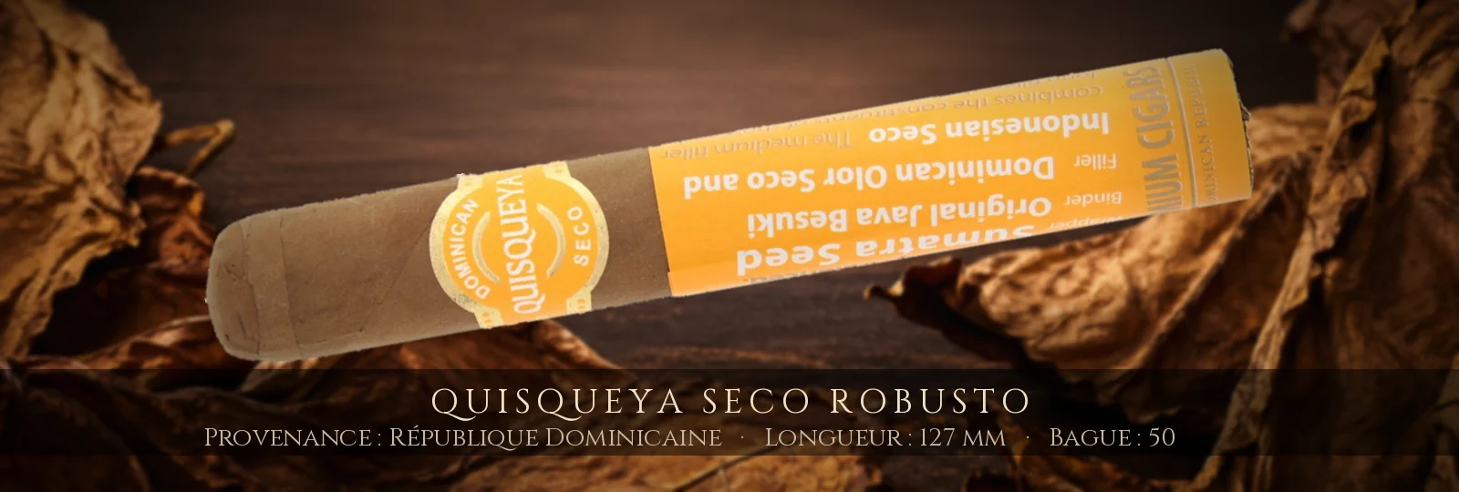 Quisqueya Seco Robusto