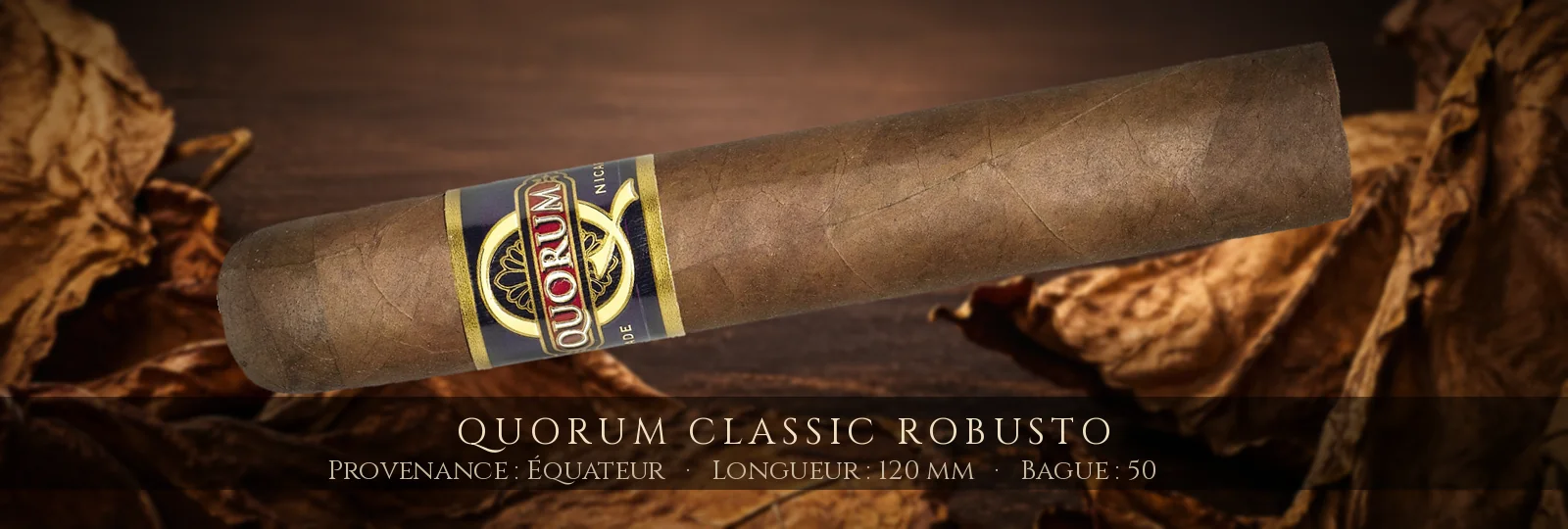 Quorum Classic Robusto — Quorum — Équateur