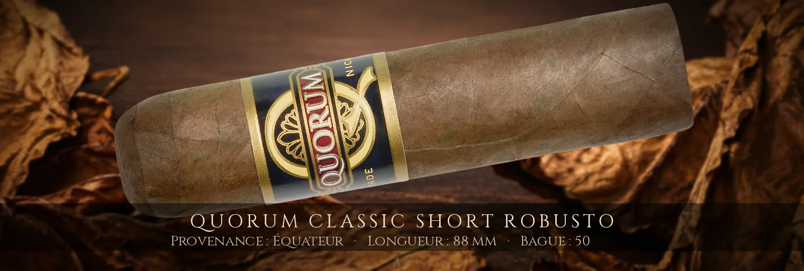 Quorum Classic Short Robusto — Quorum — Équateur