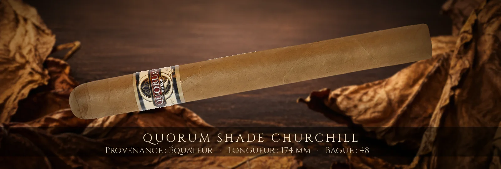 Quorum SHADE Churchill — Quorum — Équateur