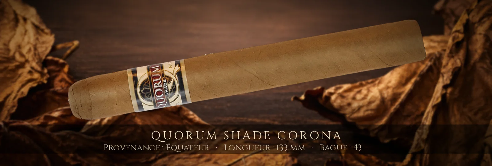 Quorum SHADE Corona — Quorum — Équateur