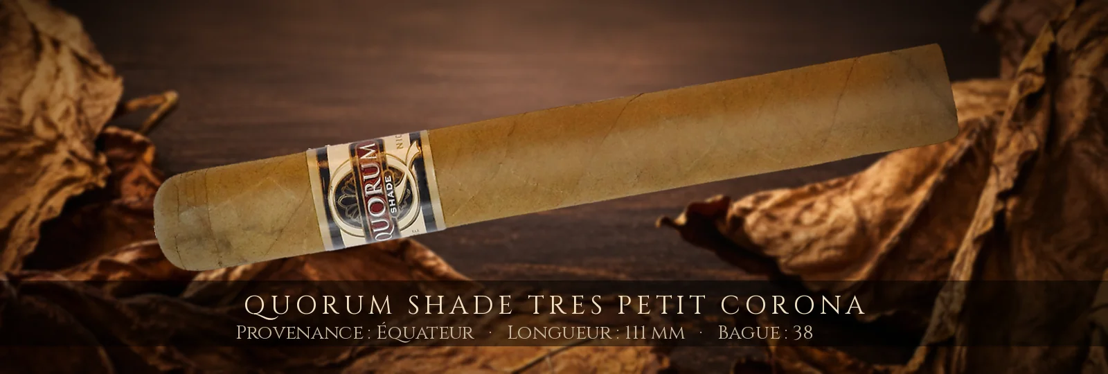 Quorum SHADE Tres Petit Corona — Quorum — Équateur