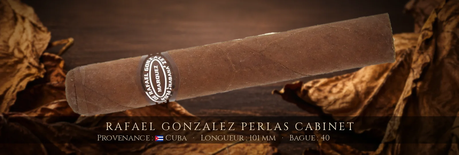 Rafael Gonzalez Perlas Cabinet