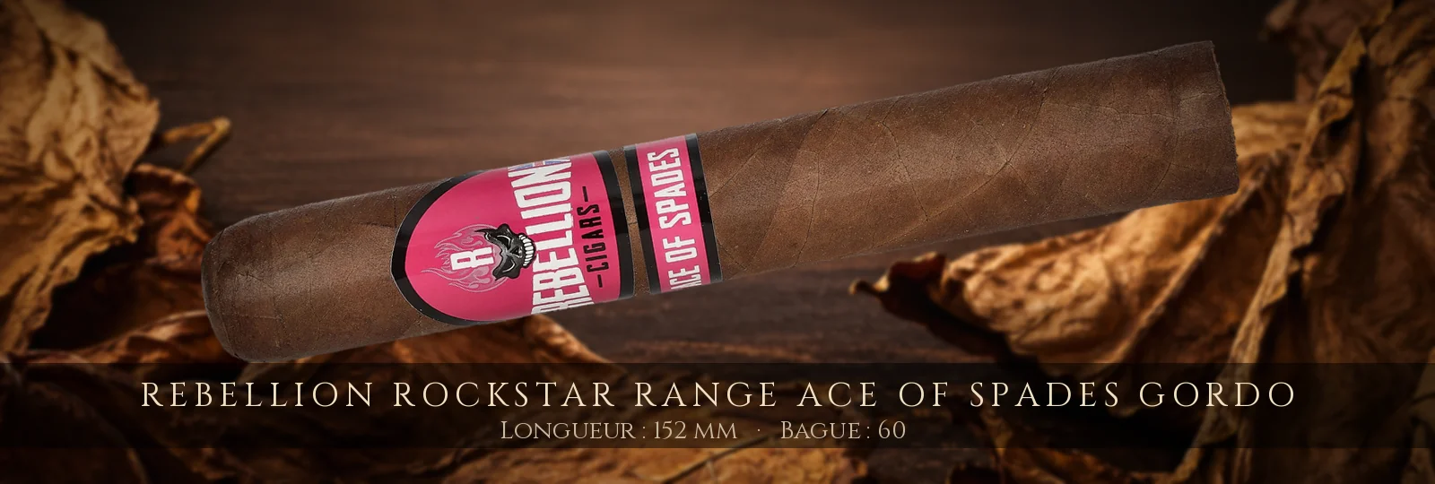 Rebellion Rockstar Range Ace of Spades Gordo — Rebellion