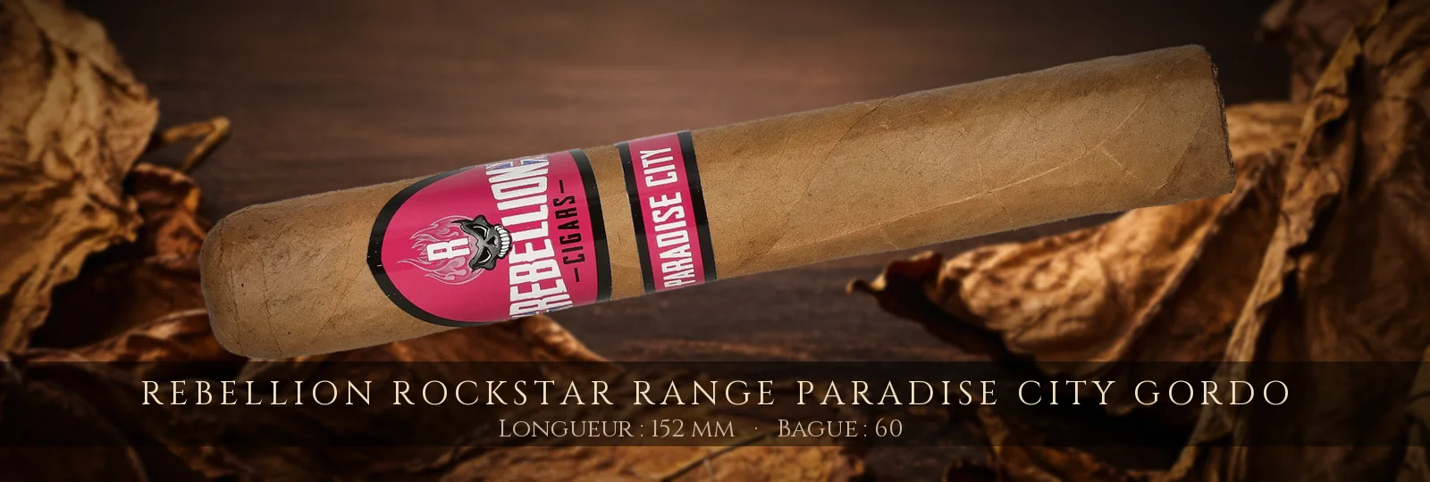 Rebellion Rockstar Range Paradise City Gordo — Rebellion