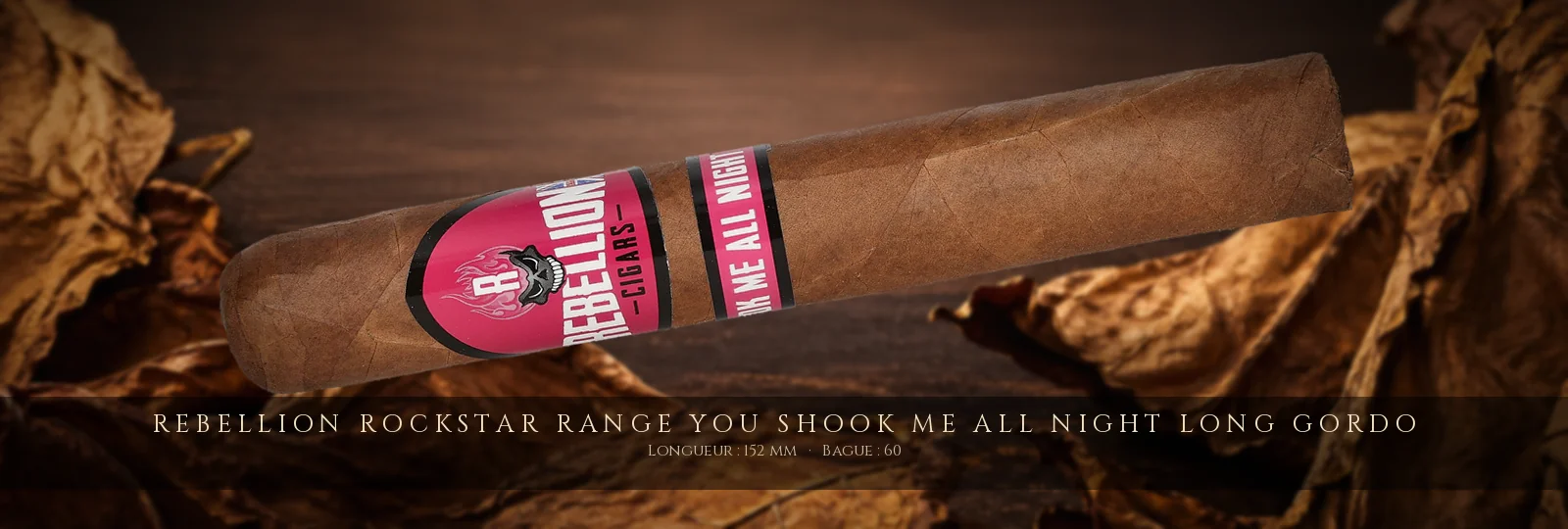 Rebellion Rockstar Range You Shook Me all Night Long Gordo — Rebellion