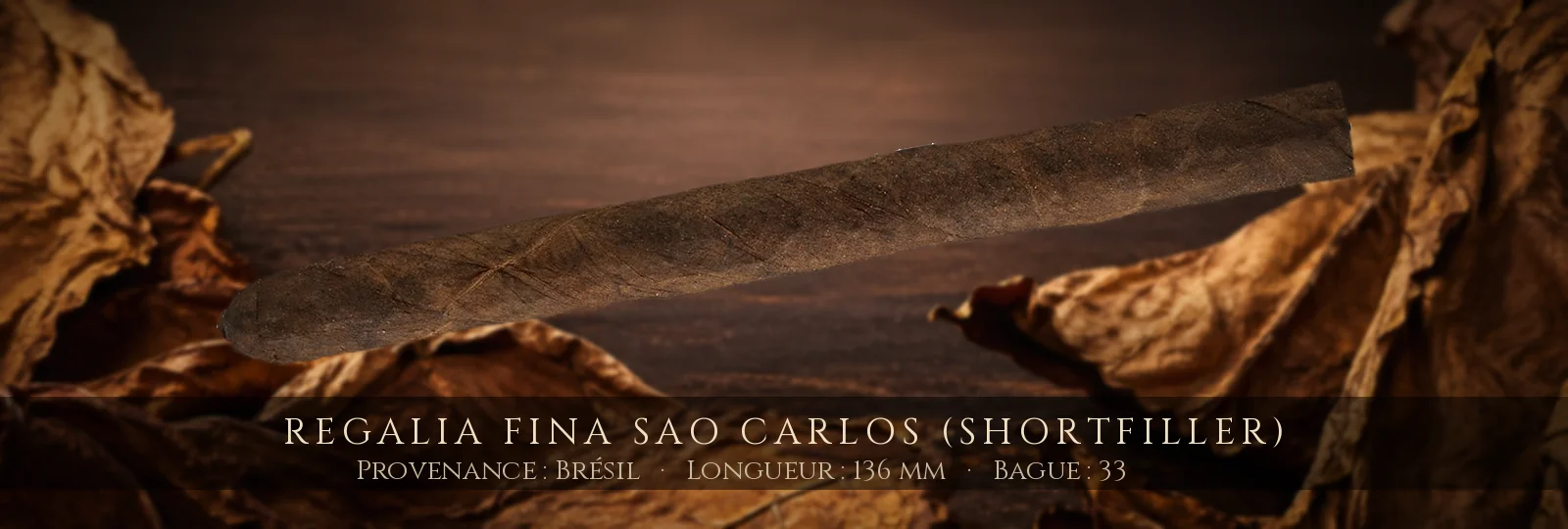 Regalia Fina Sao Carlos (Shortfiller) — Regalia Fina — Brésil