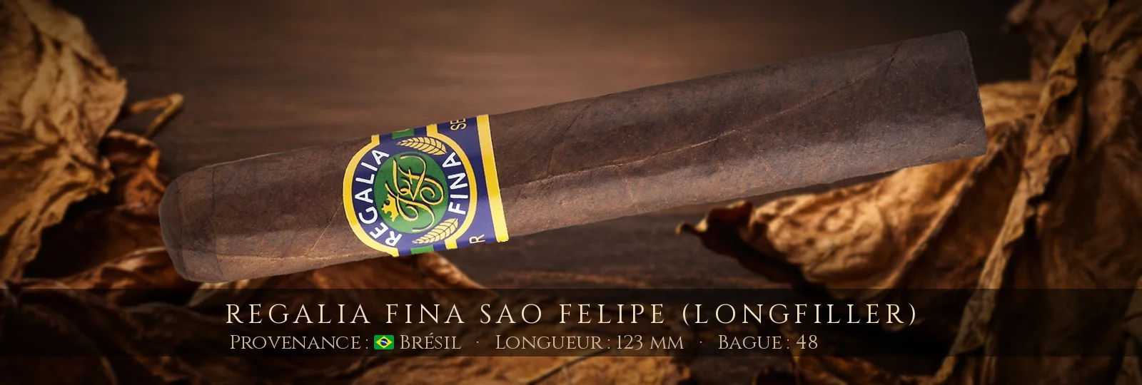 Regalia Fina Sao Felipe (Longfiller) — Regalia Fina — Brésil