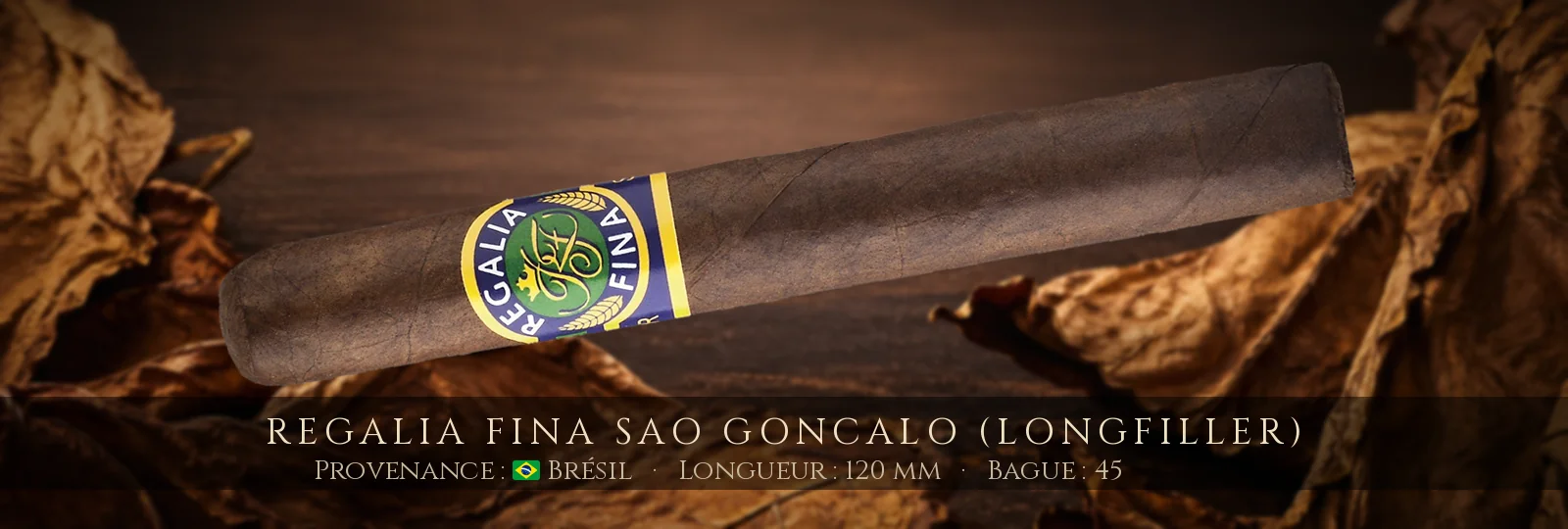 Regalia Fina Sao Goncalo (Longfiller) — Regalia Fina — Brésil
