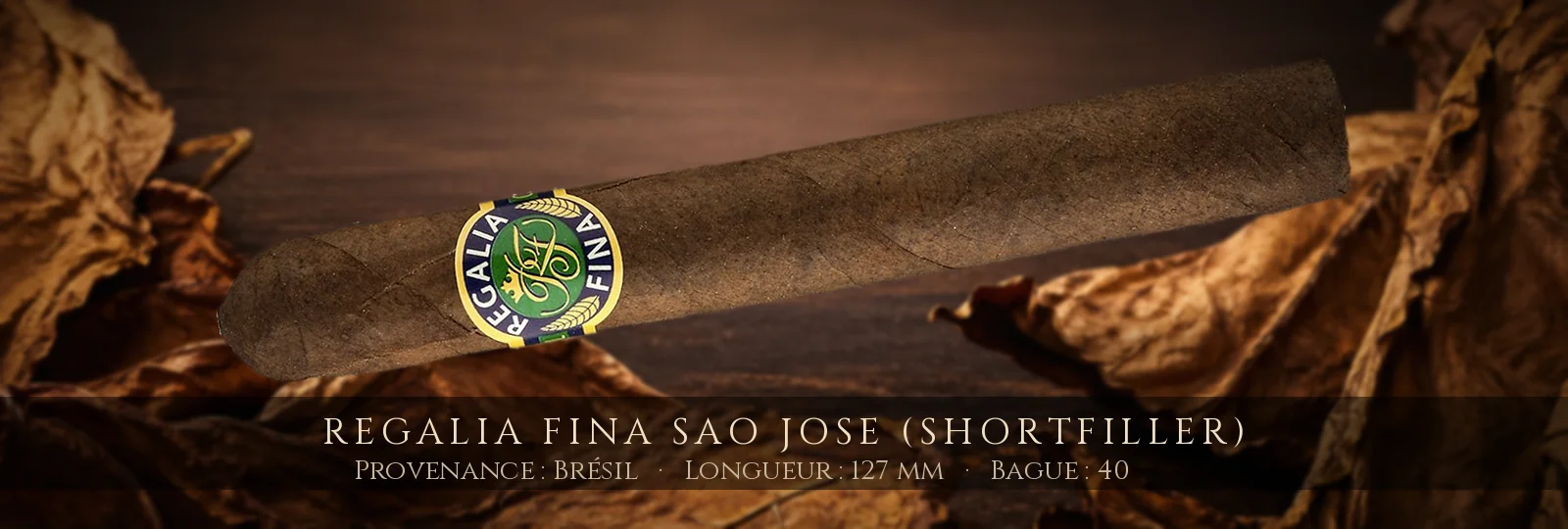 Regalia Fina Sao Jose (Shortfiller) — Regalia Fina — Brésil