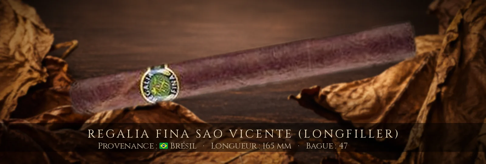 Regalia Fina Sao Vicente (Longfiller)