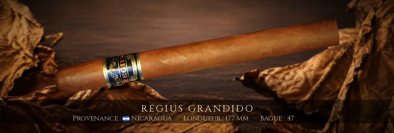 Regius Grandido — Regius — Nicaragua