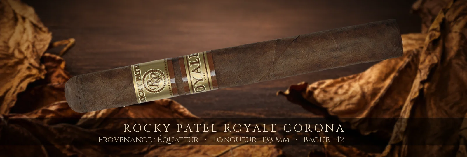 Rocky Patel Royale Corona — Rocky Patel — Équateur