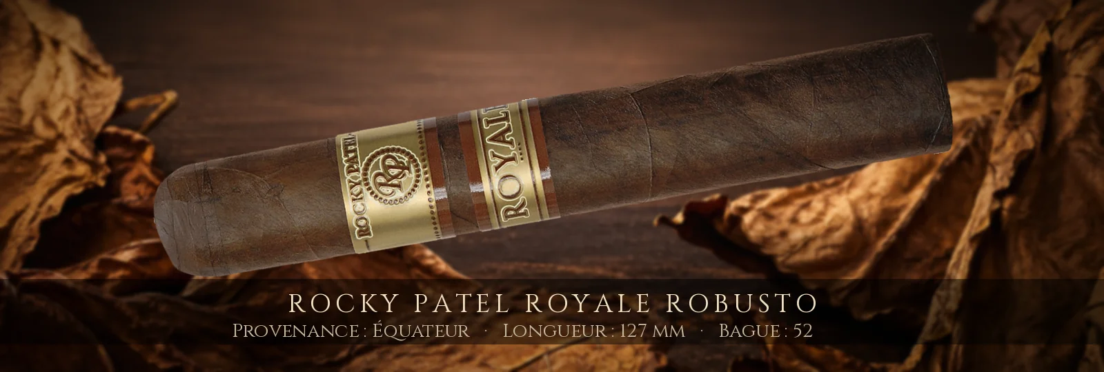 Rocky Patel Royale Robusto — Rocky Patel — Équateur