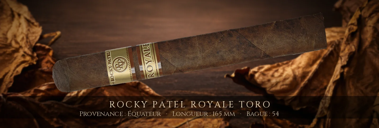 Rocky Patel Royale Toro — Rocky Patel — Équateur