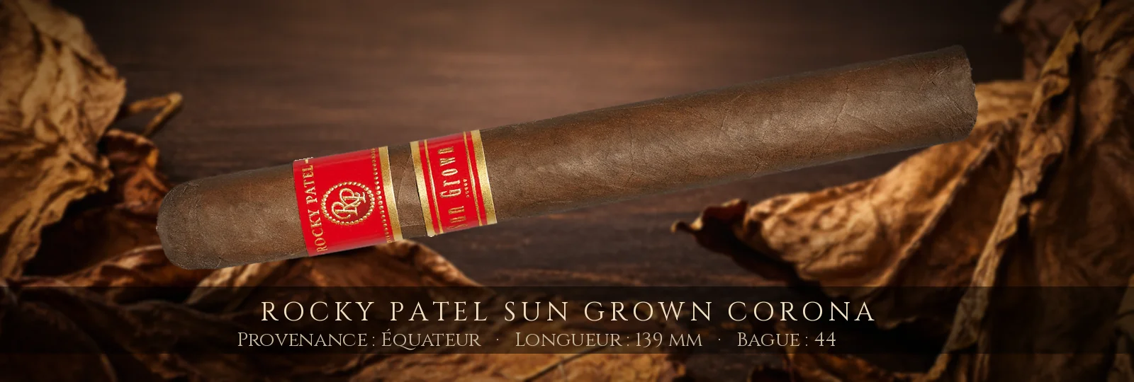Rocky Patel Sun Grown Corona — Rocky Patel — Équateur