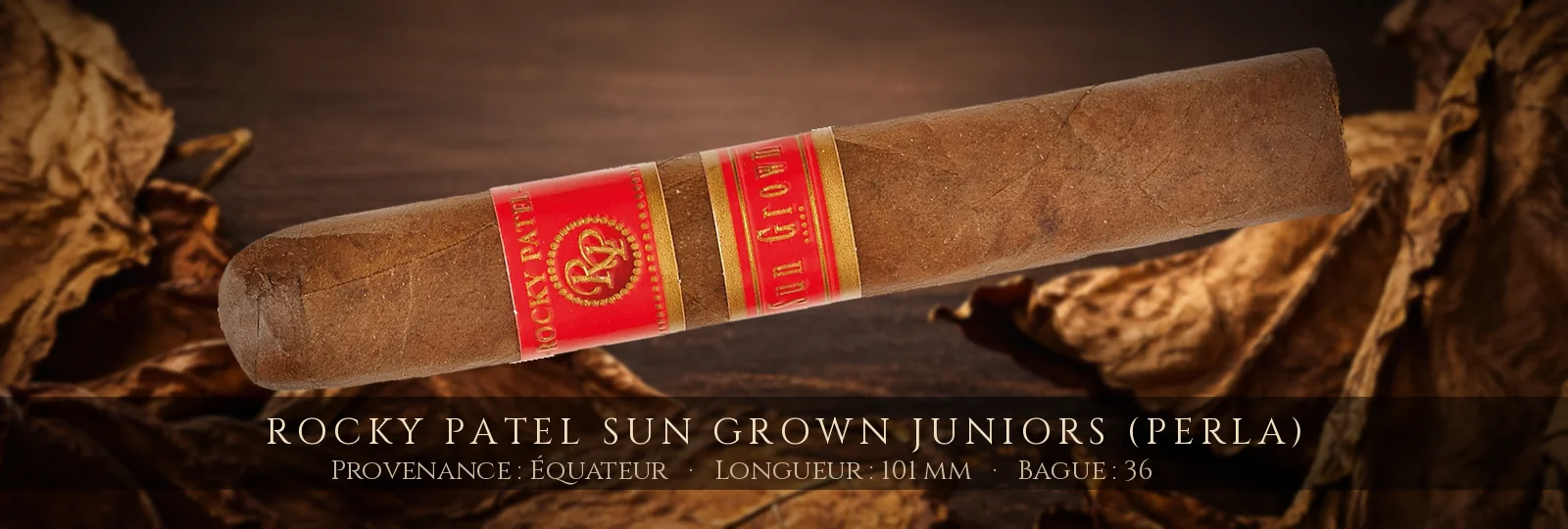 Rocky Patel Sun Grown Juniors (Perla) — Rocky Patel — Équateur