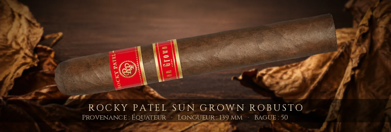 Rocky Patel Sun Grown Robusto — Rocky Patel — Équateur