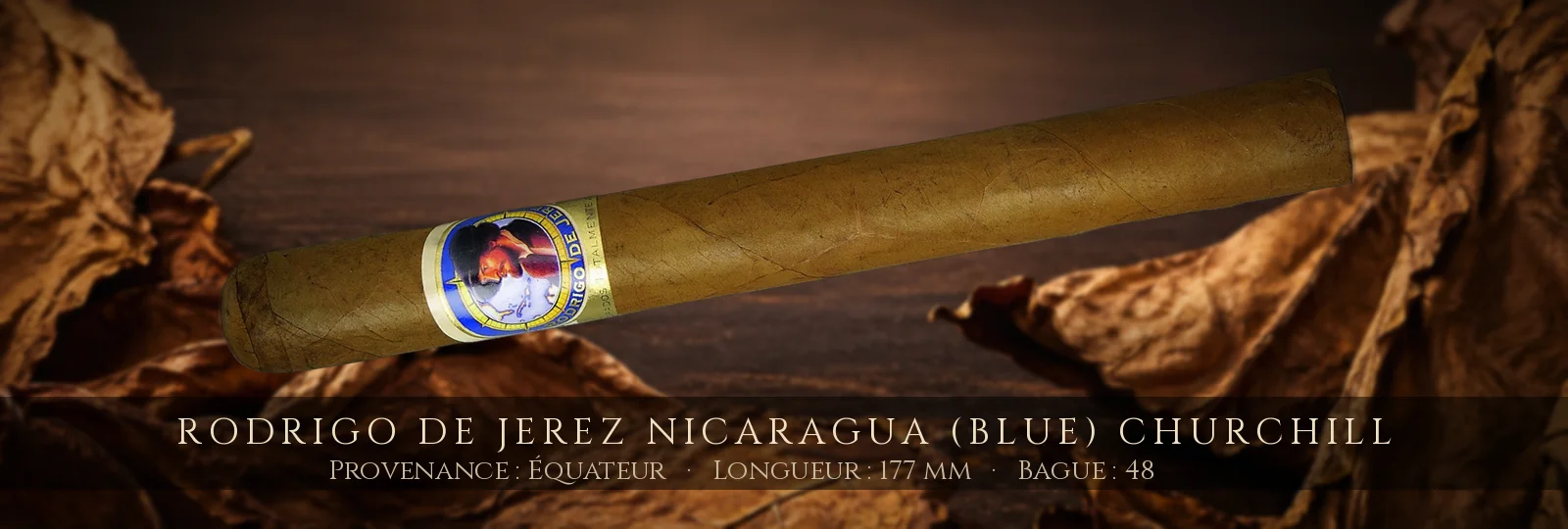 Rodrigo de Jerez Nicaragua (Blue) Churchill — Rodrigo de Jerez — Équateur