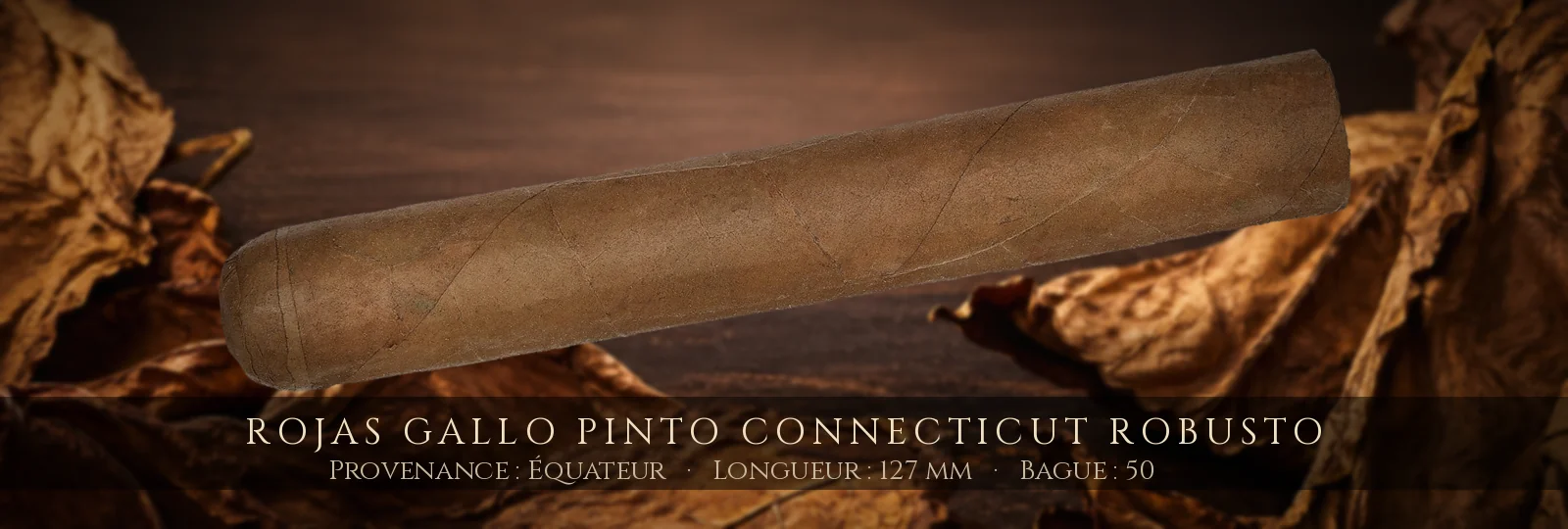 Rojas Gallo Pinto Connecticut Robusto — Rojas — Équateur