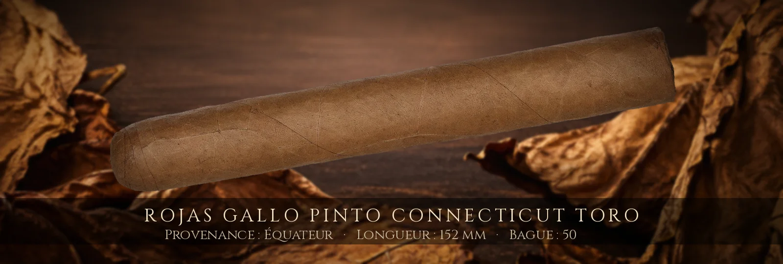 Rojas Gallo Pinto Connecticut Toro — Rojas — Équateur