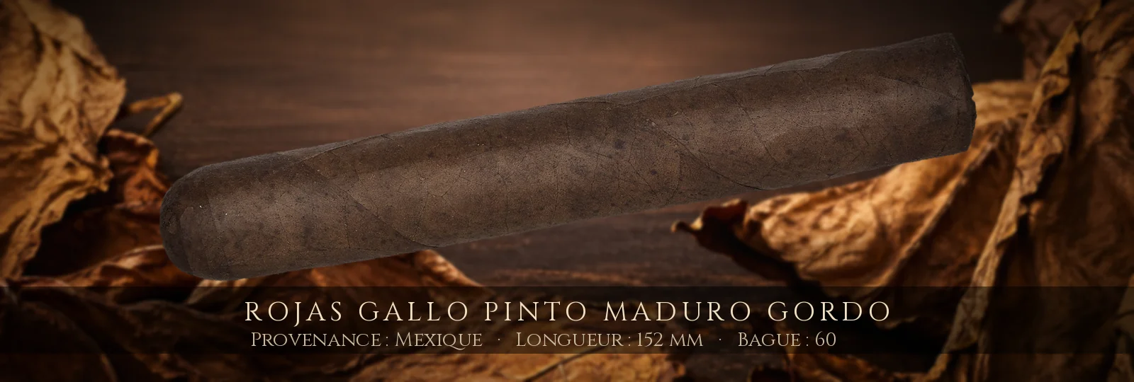 Rojas Gallo Pinto Maduro Gordo — Rojas — Mexique