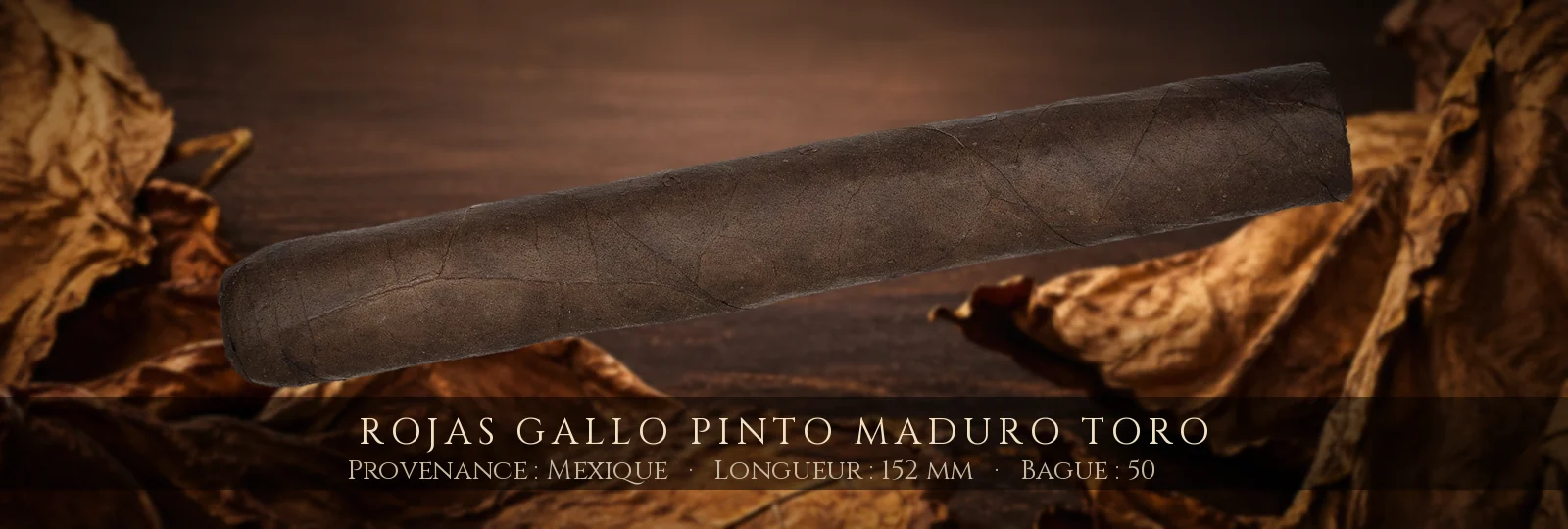 Rojas Gallo Pinto Maduro Toro — Rojas — Mexique