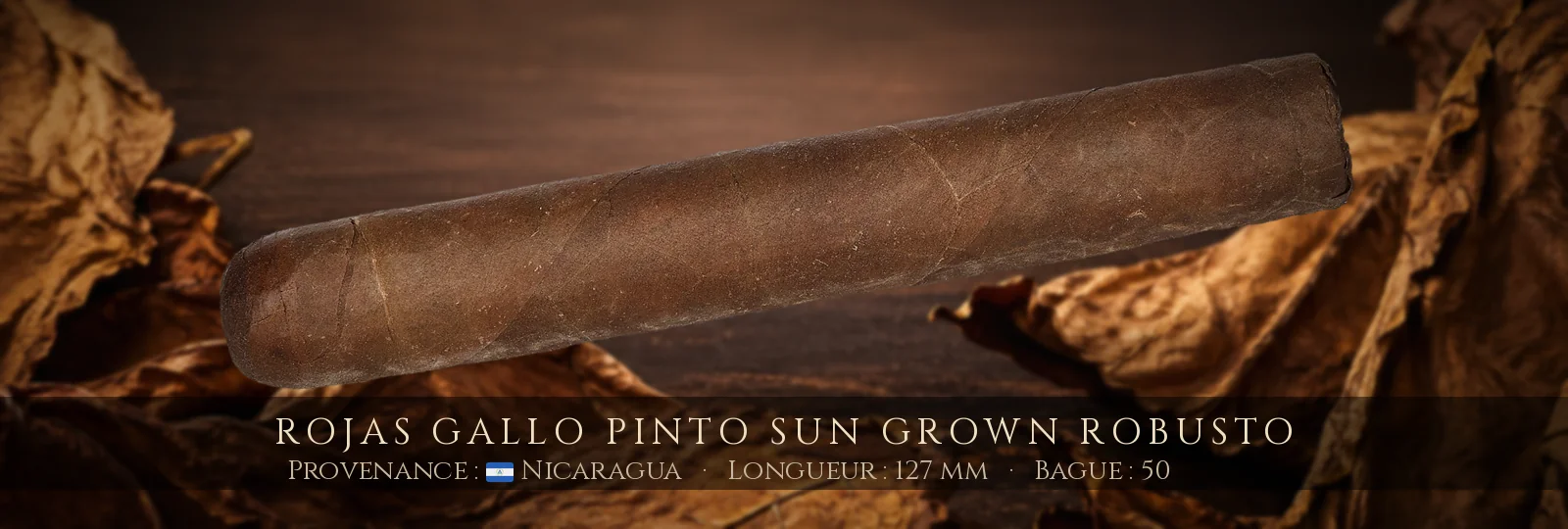 Rojas Gallo Pinto Sun Grown Robusto — Rojas — Nicaragua
