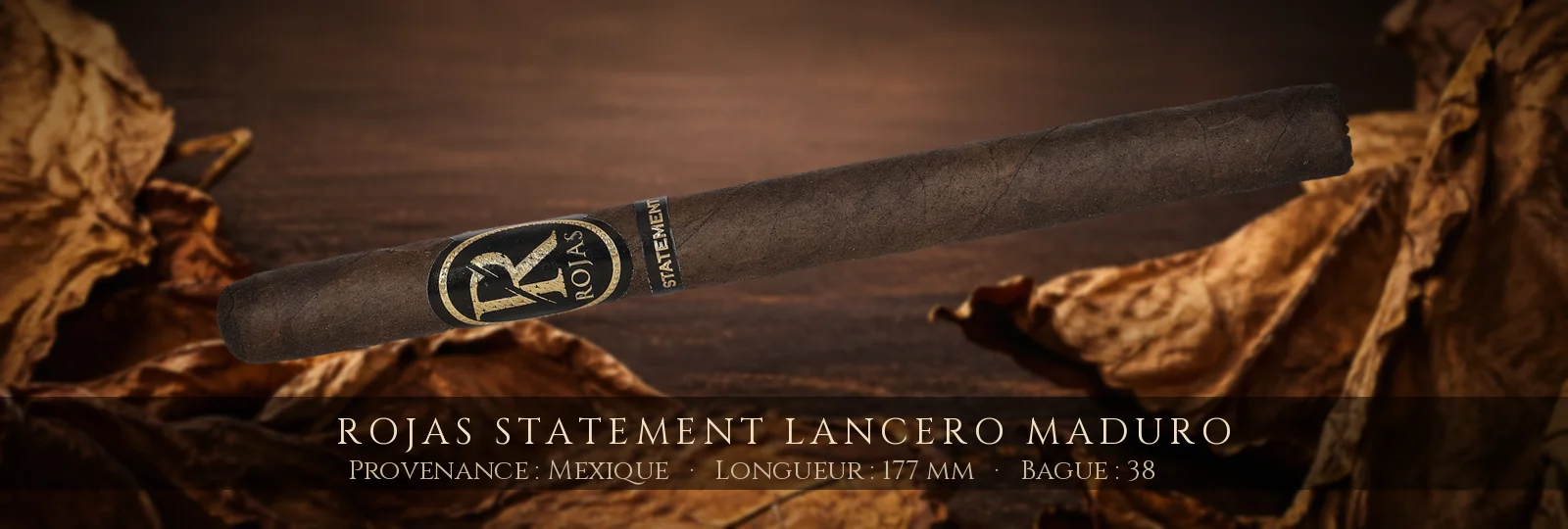 Rojas Statement Lancero Maduro — Rojas — Mexique