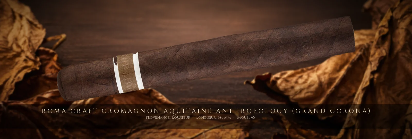 RoMa Craft CroMagnon Aquitaine Anthropology (Grand Corona)